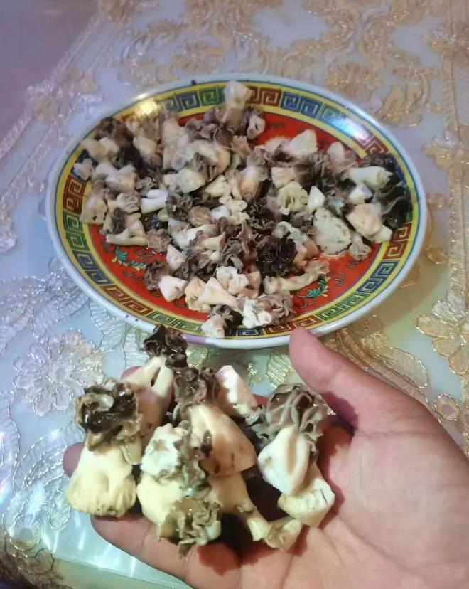 都没吃过的美食;巴楚蘑菇拌面！pg模拟器试玩99%的新疆人(图3)