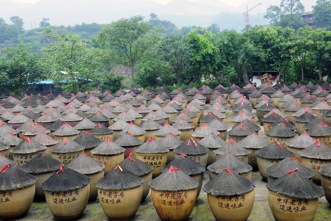 匠心酿岁月 薪火相传谱新篇pg电子试玩江津酿造：百年(图3)