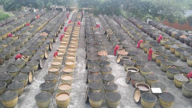 匠心酿岁月 薪火相传谱新篇pg电子试玩江津酿造：百年(图6)