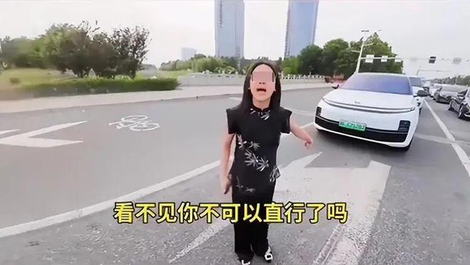 ：女司机气到流产公布完整行车记录仪电子pg河北女司机与骑手冲突后续(图14)